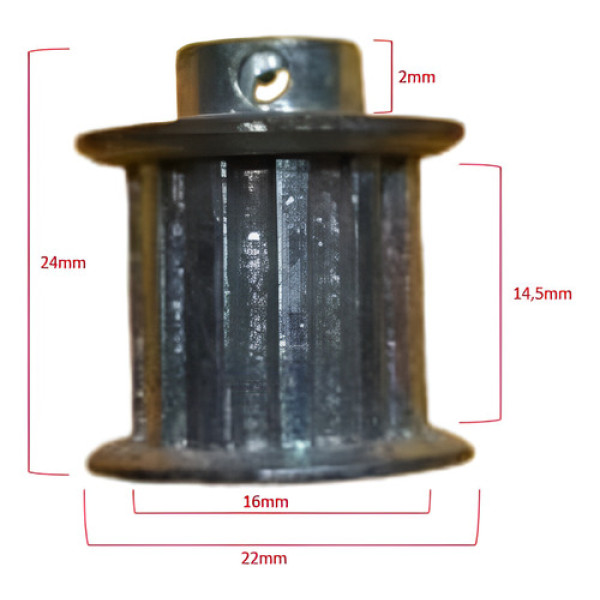 Polia Da Correia De Distribuição