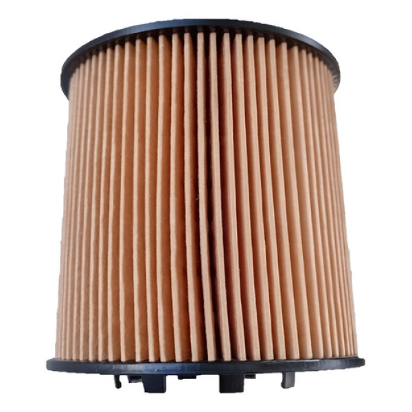 Filtro De Óleo Motor Refil Master 2.5 Diesel 2003 A 2012