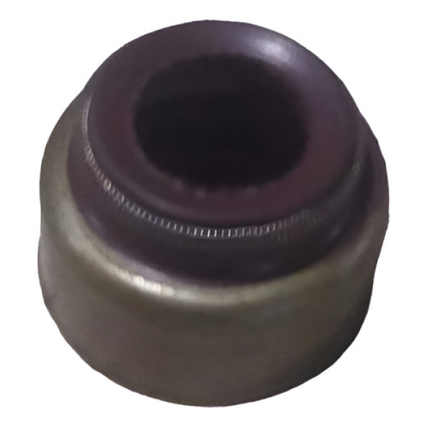 Retentor Haste Da Válvula Motor - Mercedes Om352/352a 