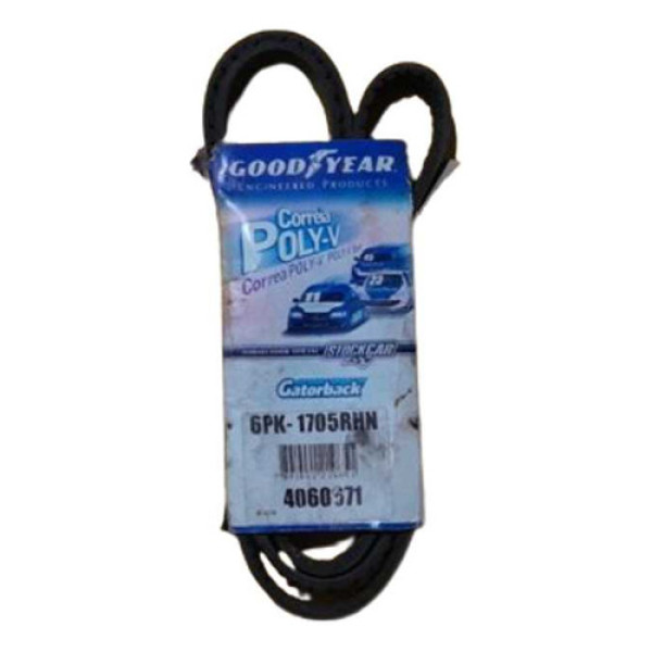 Correia Lisa Good Year Gatorback 6pk1705 Rnh