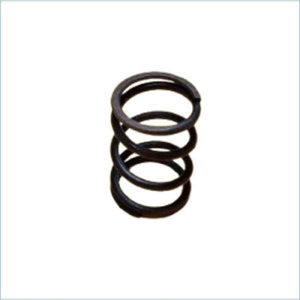 Mola Reguladora Bomba Inj Om449la 2424633013