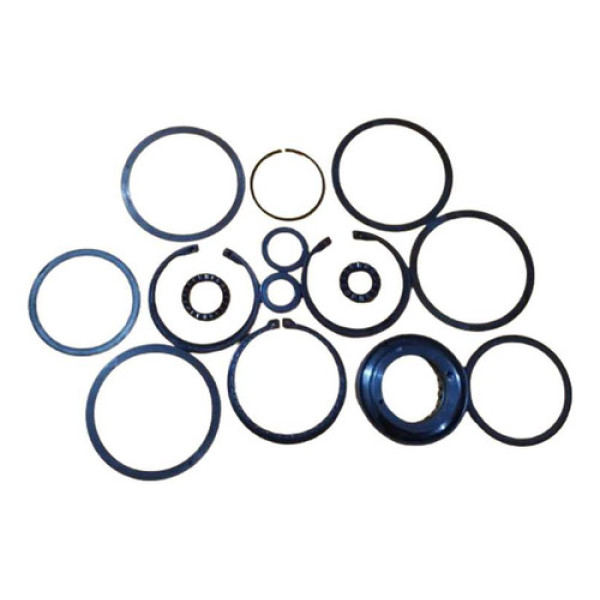 Kit Reparo Parci. 15pçs Bigolin Diferencial Lin Leve Vw/ford