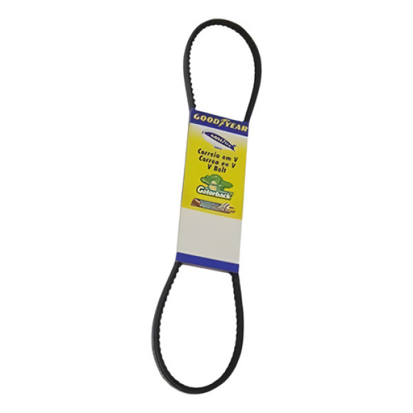 Correia Em \'\'v\'\' Gatorback 13av1870 
