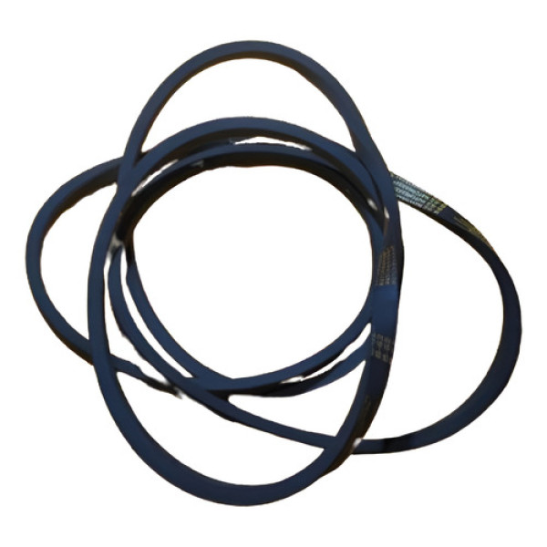 Correia Lisa Goodyear B-62