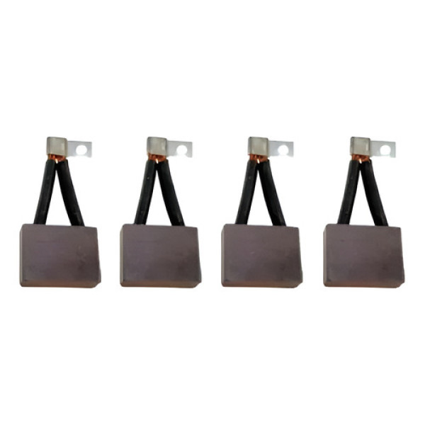 Jogo Escovas Schunk Bsx 60 12x36x27mm